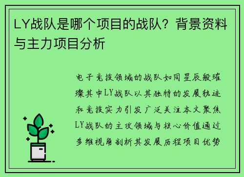 LY战队是哪个项目的战队？背景资料与主力项目分析