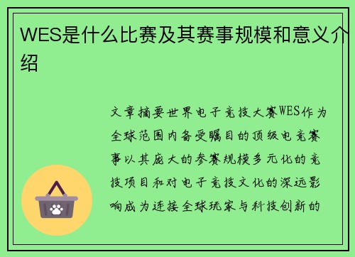 WES是什么比赛及其赛事规模和意义介绍